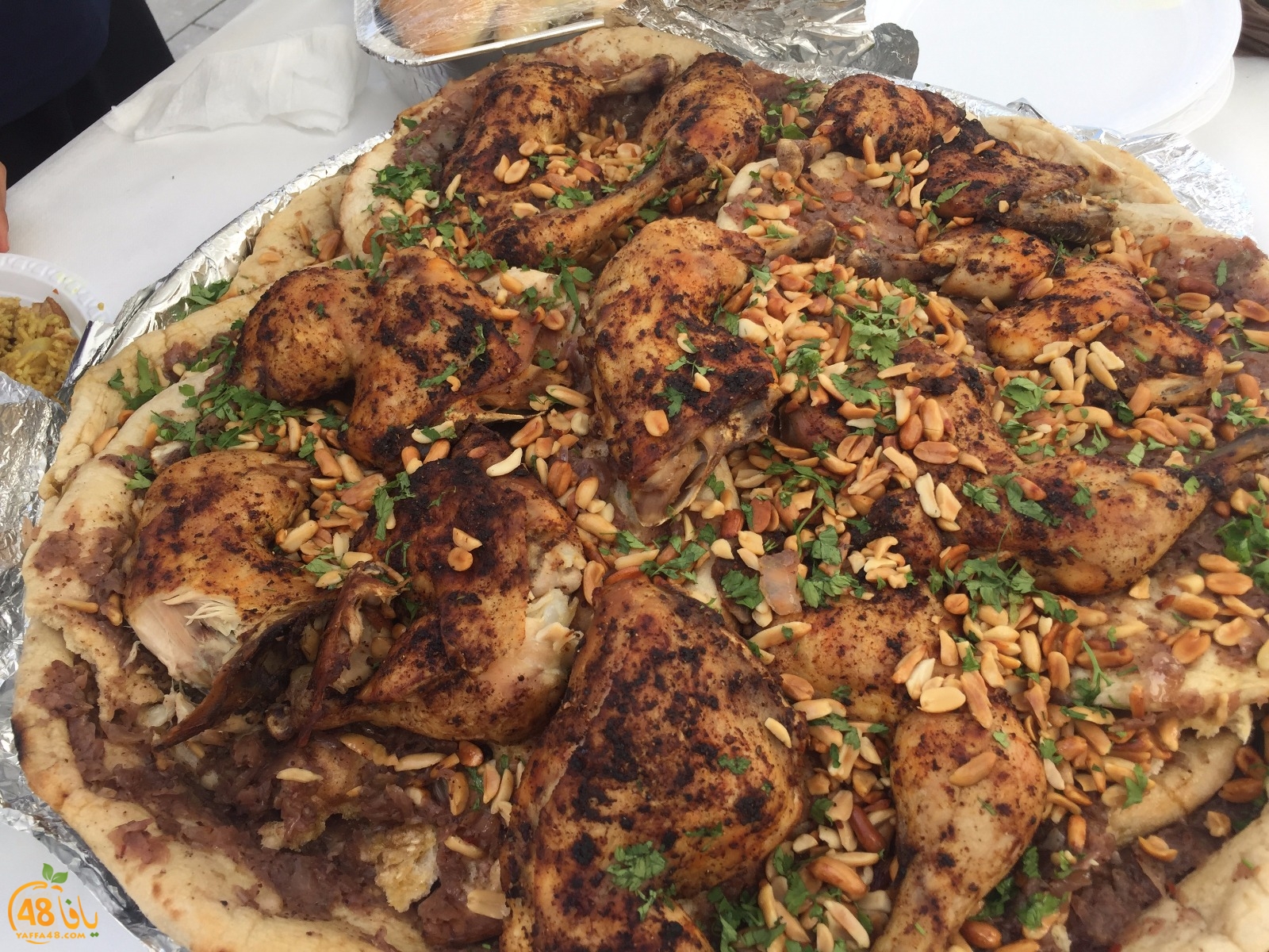 torath day yaffa mostqbal (54).jpeg